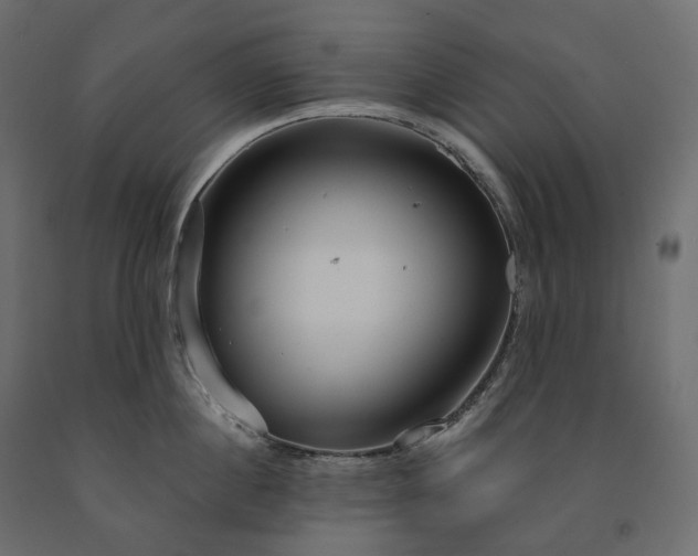 X0000091560860200708241814