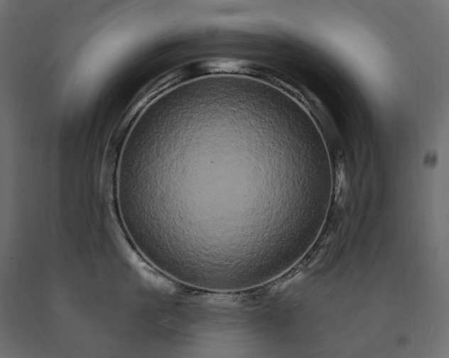 X0000091560861200708241814