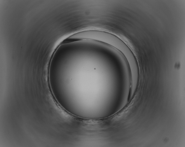 X0000091560862200708241814