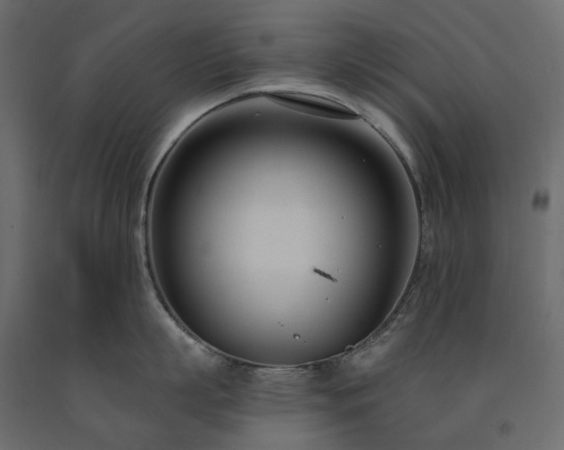 X0000091560863200708241814