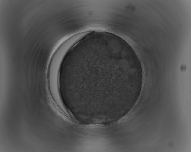 X0000091560864200708241814