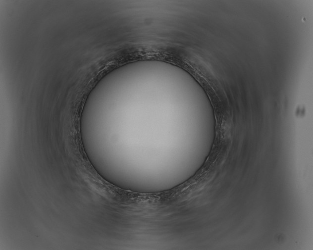 X0000091560865200708241814