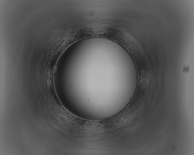 X0000091560866200708241814