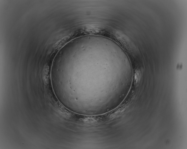 X0000091560867200708241814