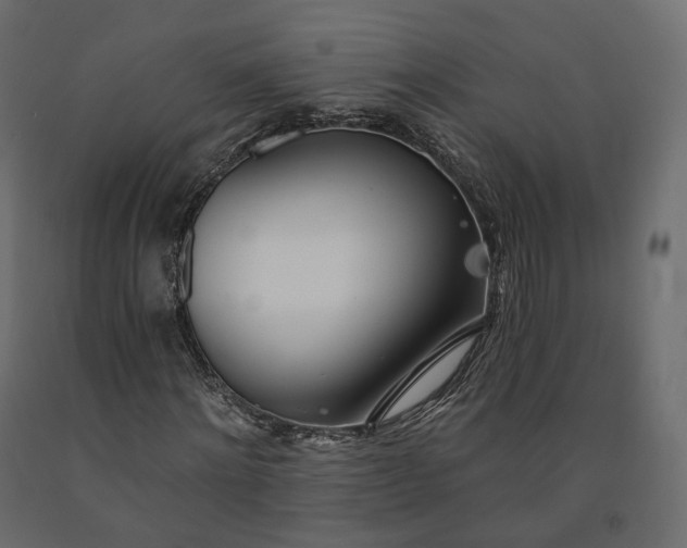 X0000091560868200708241814