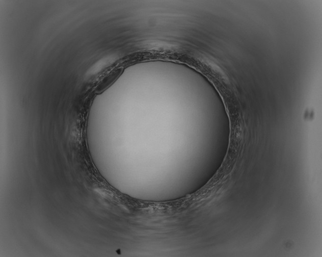 X0000091560869200708241814