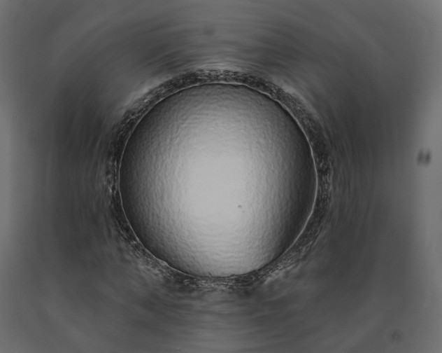 X0000091560870200708241814