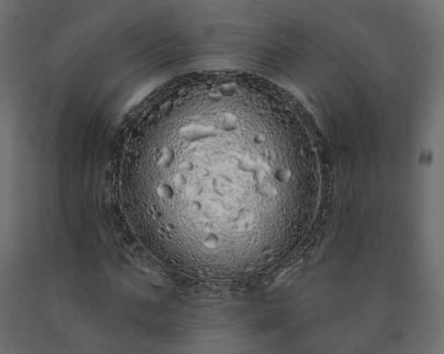 X0000091560871200708241814