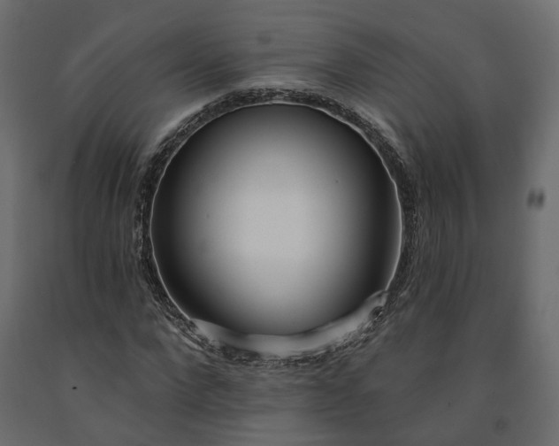 X0000091560872200708241813