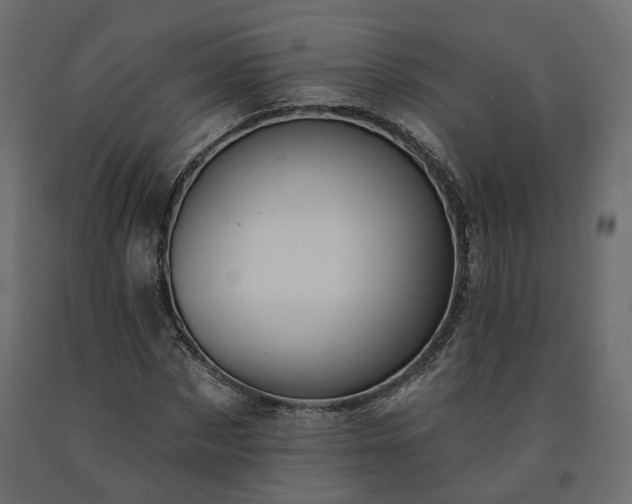 X0000091560873200708241813