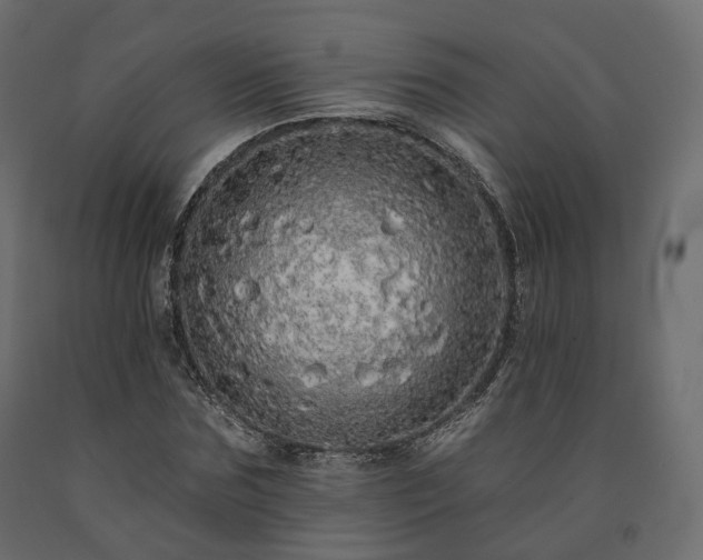 X0000091560875200708241813