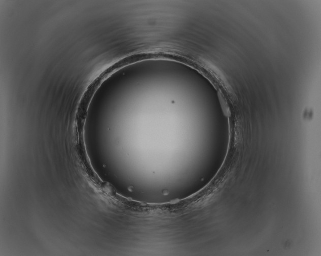 X0000091560876200708241813