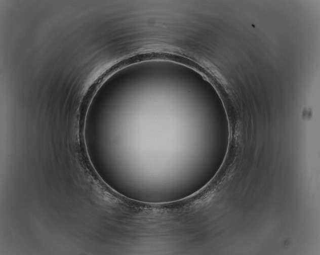 X0000091560877200708241813