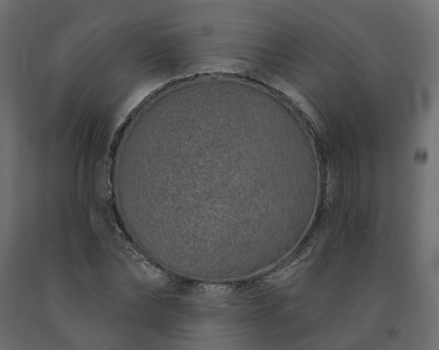 X0000091560878200708241813