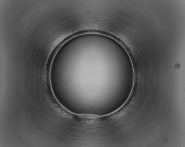 X0000091560879200708241813