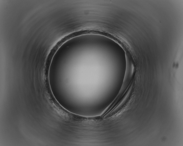 X0000091560880200708241813