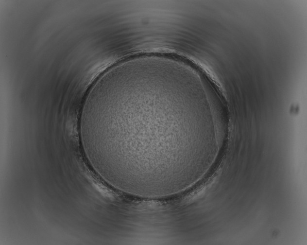 X0000091560881200708241813