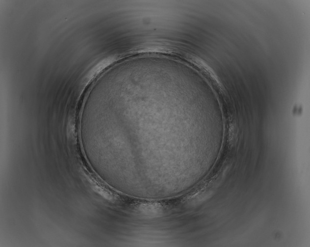 X0000091560882200708241813