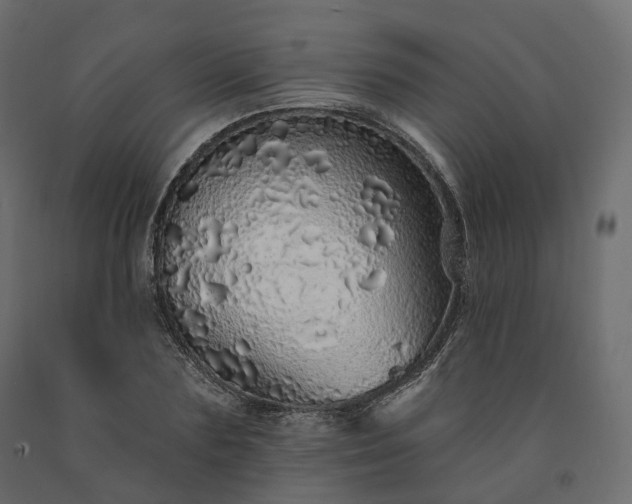 X0000091560883200708241813