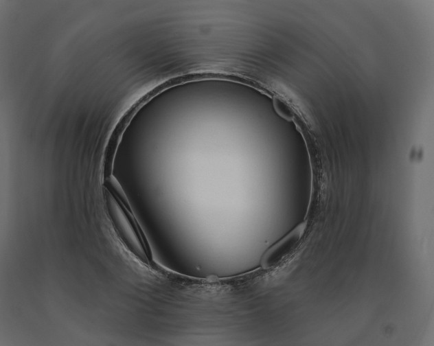 X0000091560884200708241813