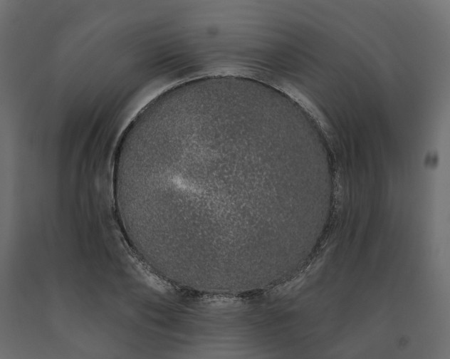 X0000091560886200708241813