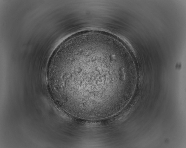 X0000091560887200708241813