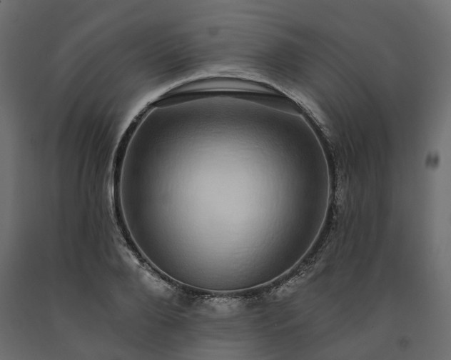 X0000091560888200708241813