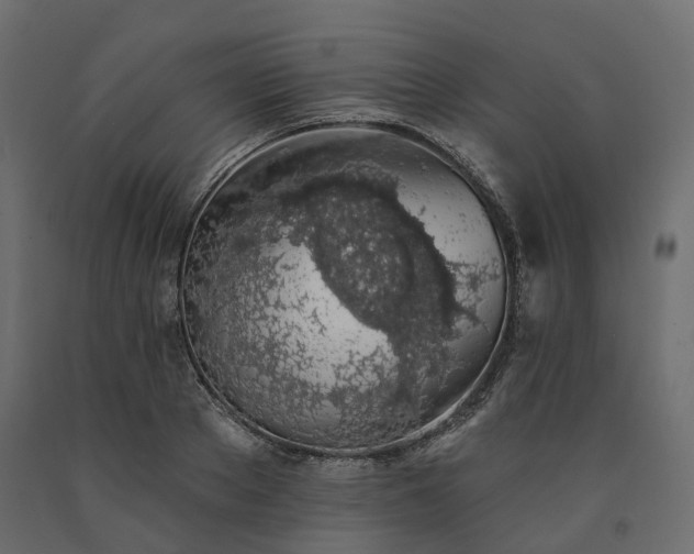 X0000091560889200708241813