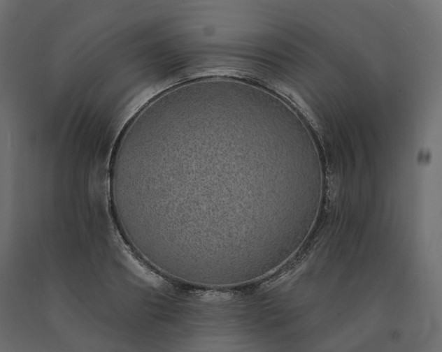 X0000091560890200708241813