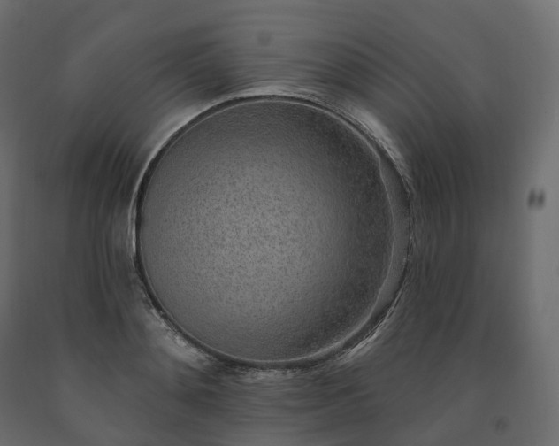 X0000091560892200708241813