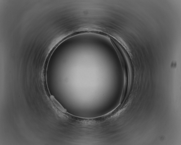 X0000091560893200708241813