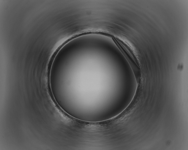 X0000091560894200708241813