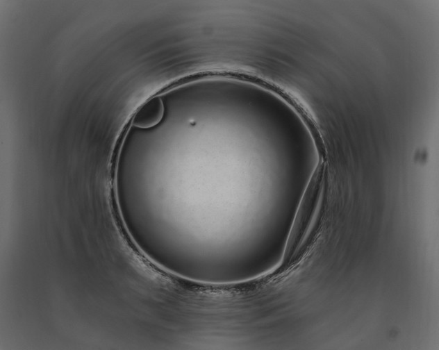 X0000091560895200708241813