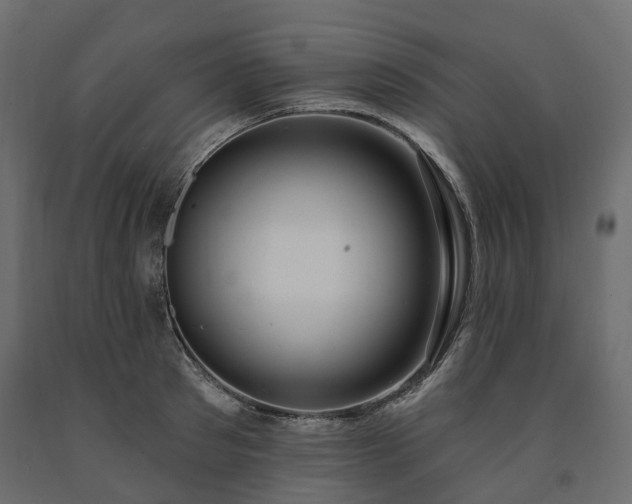 X0000091560897200708241813