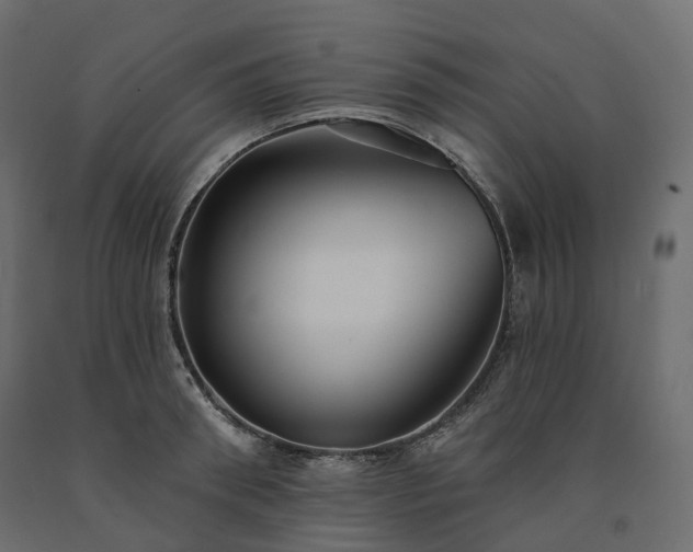 X0000091560898200708241813