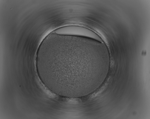 X0000091560899200708241813