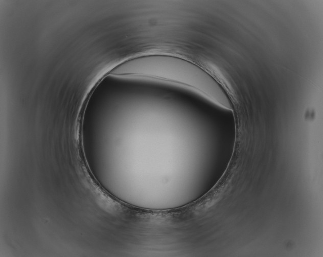 X0000091560900200708241813