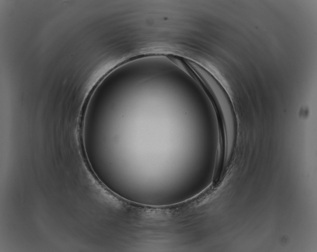 X0000091560901200708241813