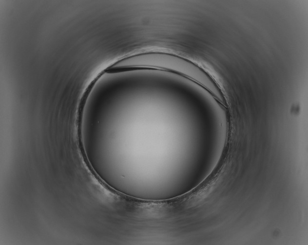 X0000091560902200708241813