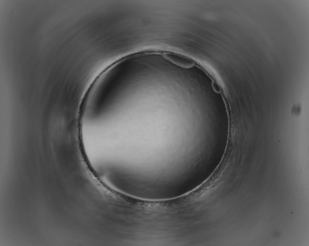 X0000091560903200708241813