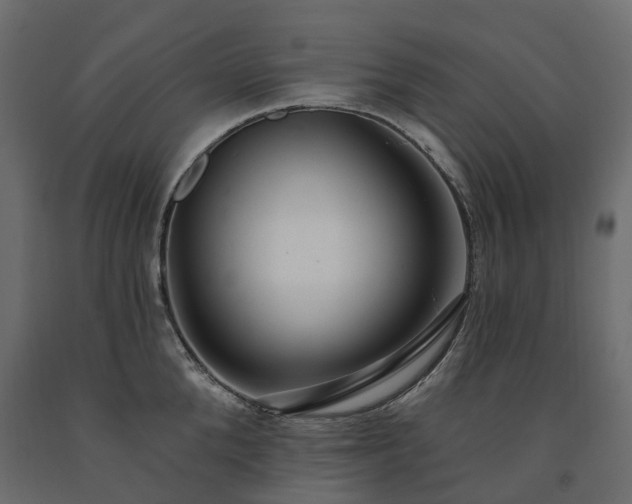 X0000091560904200708241813