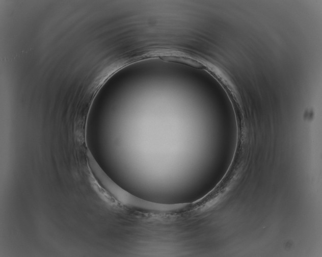 X0000091560905200708241813