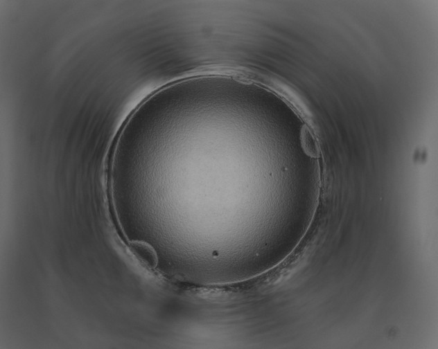 X0000091560907200708241813