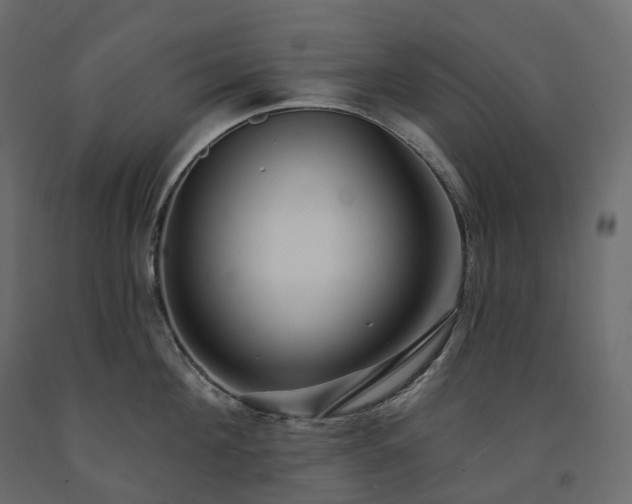 X0000091560908200708241813