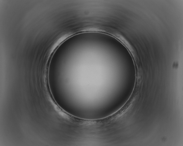 X0000091560909200708241813