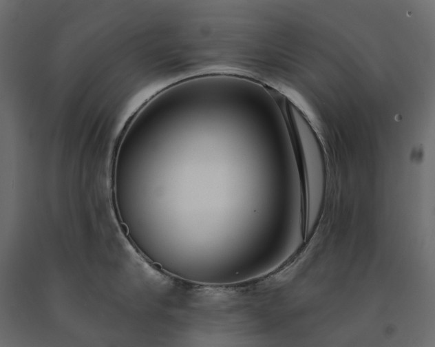 X0000091560910200708241813