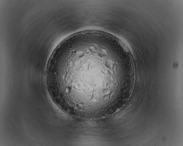 X0000091560911200708241813