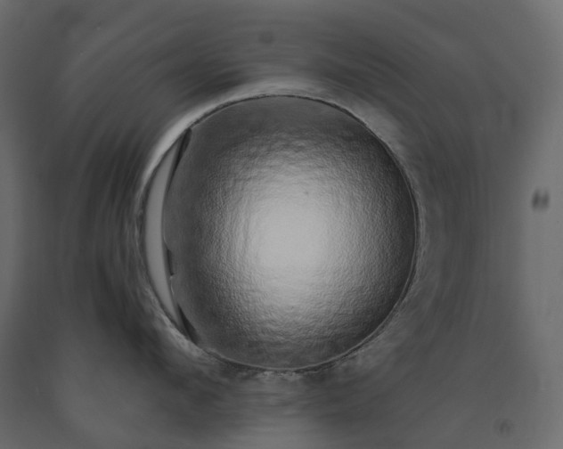 X0000091560912200708241813