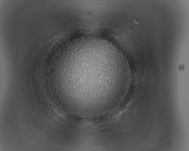 X0000091560913200708241812