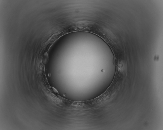 X0000091560915200708241812